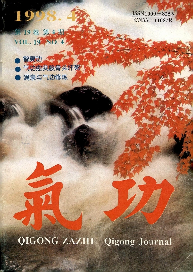 气功1998第四期-四书格