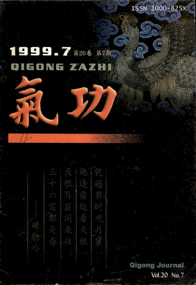 气功1999第七期-四书格