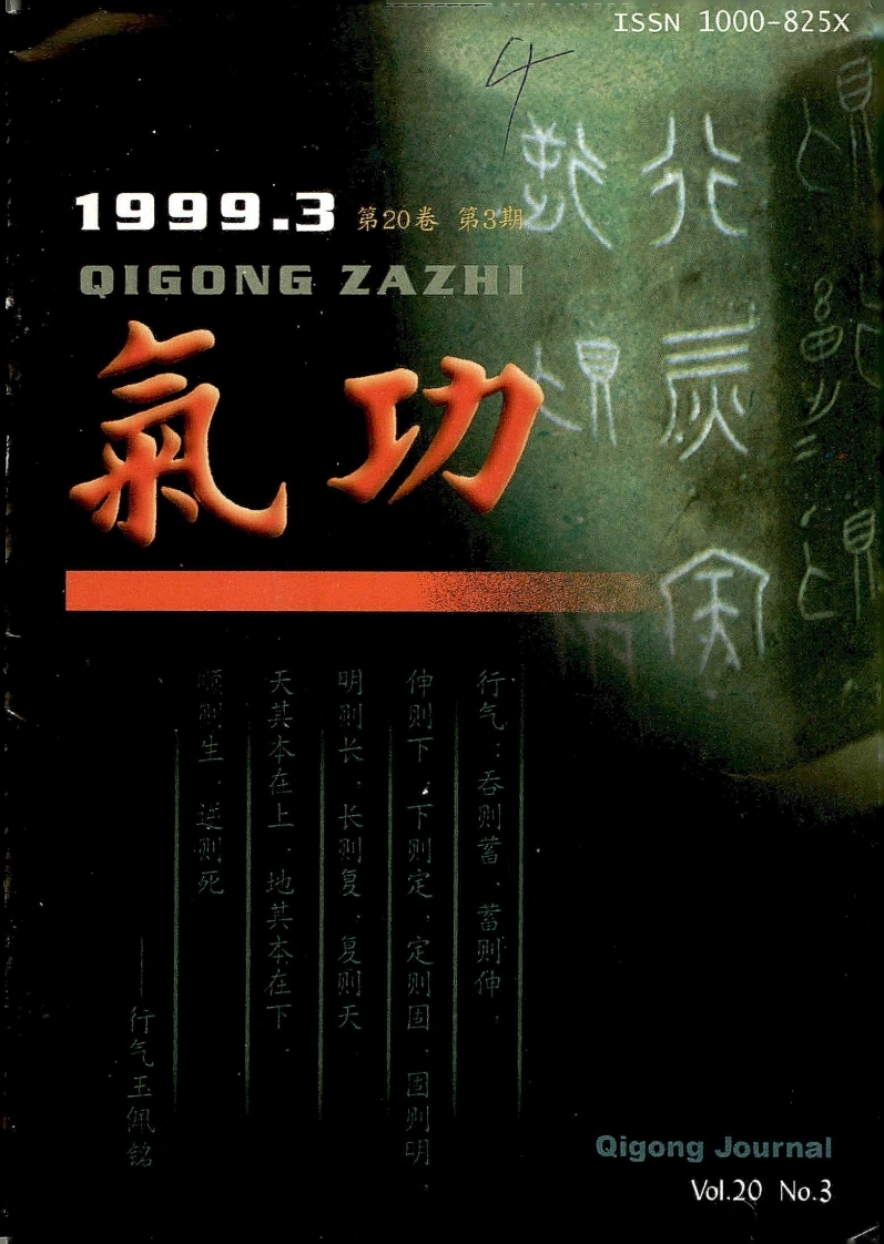 气功1999第三期-四书格