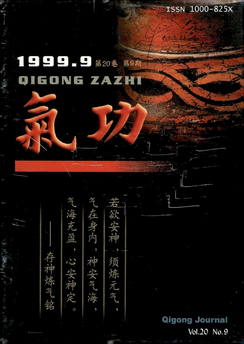 气功1999第九期-四书格