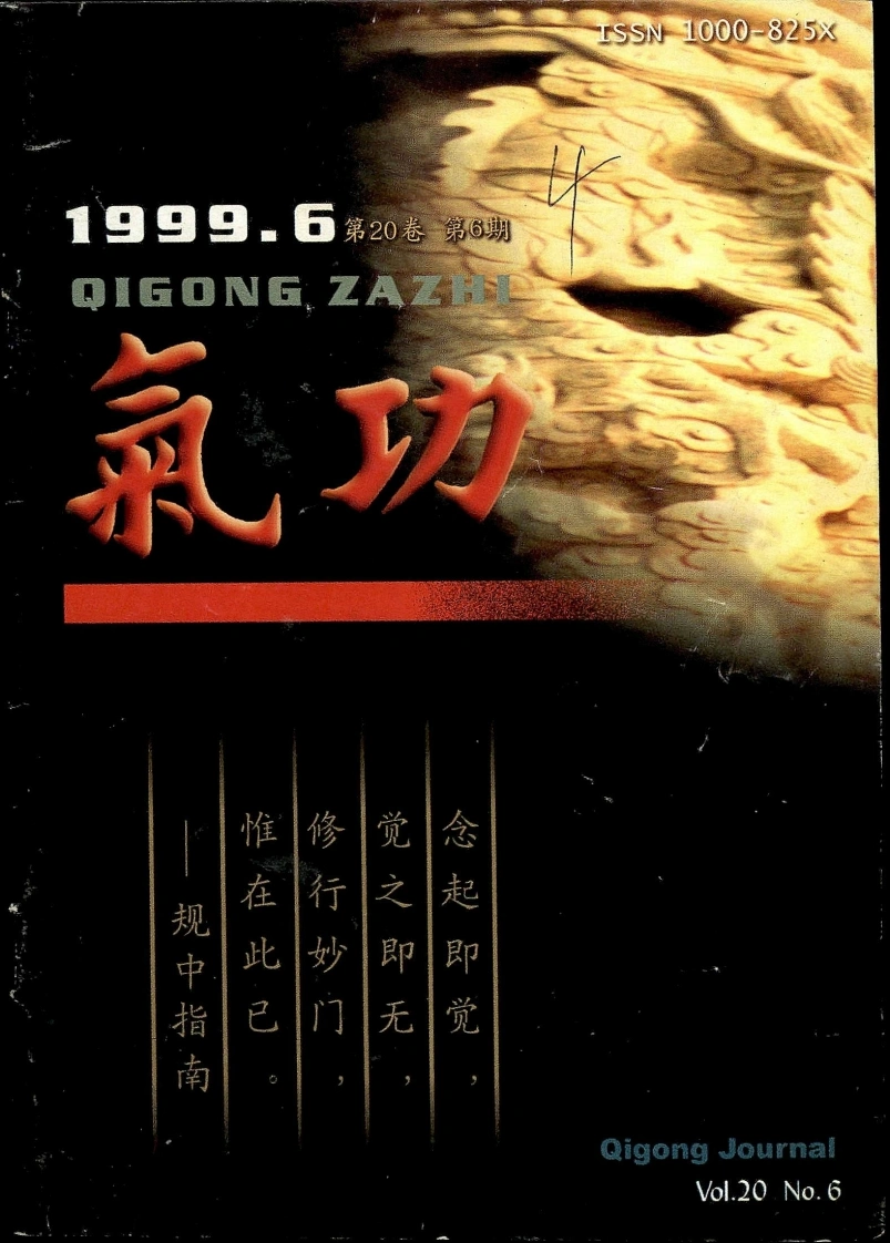 气功1999第六期-四书格