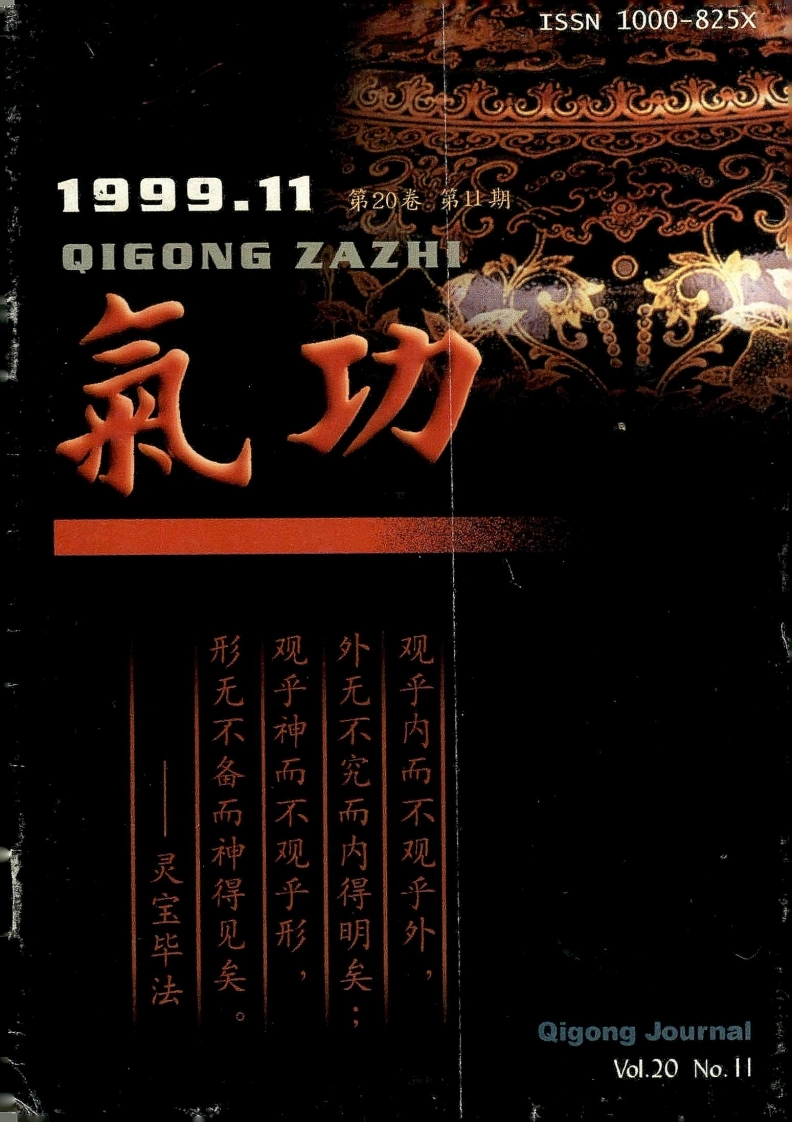 气功1999第十一期-四书格