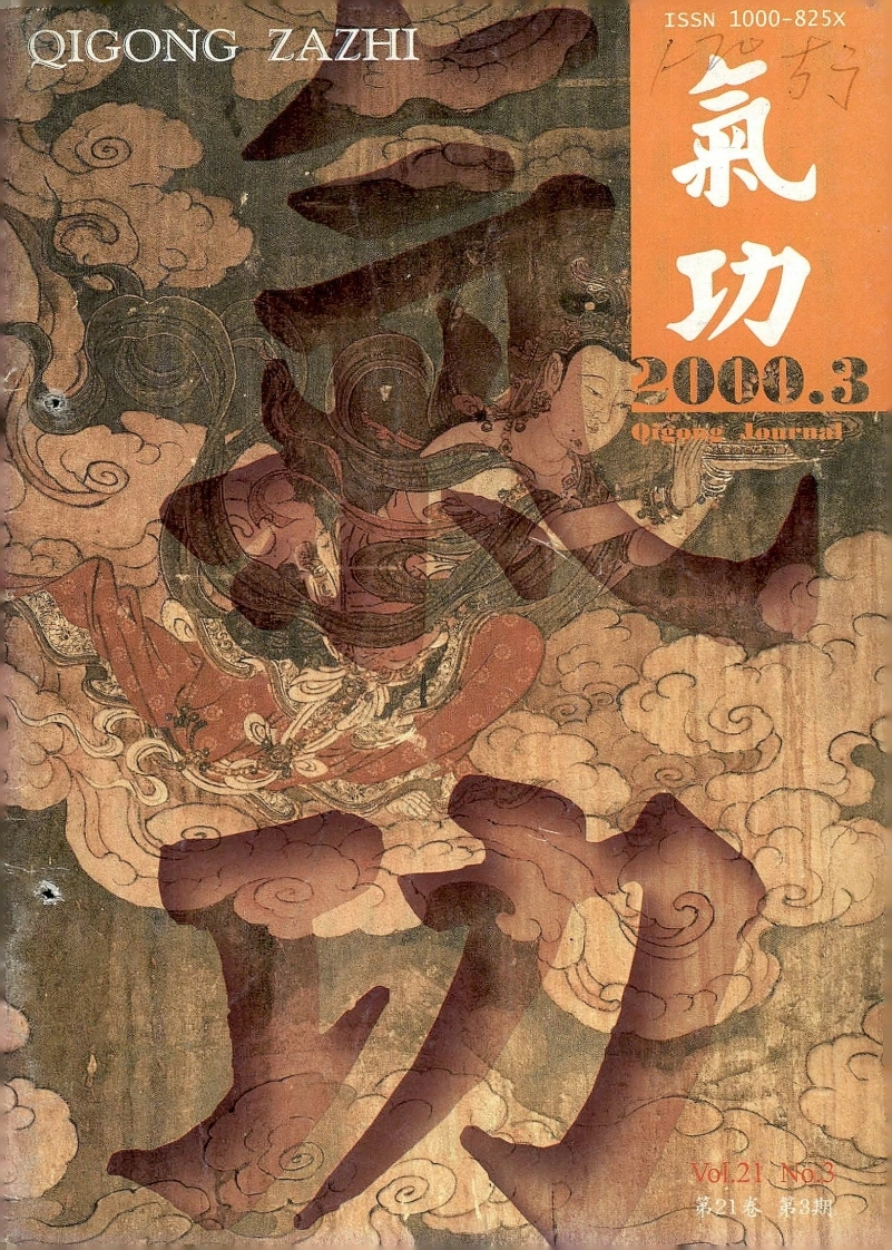 气功2000第三期-四书格
