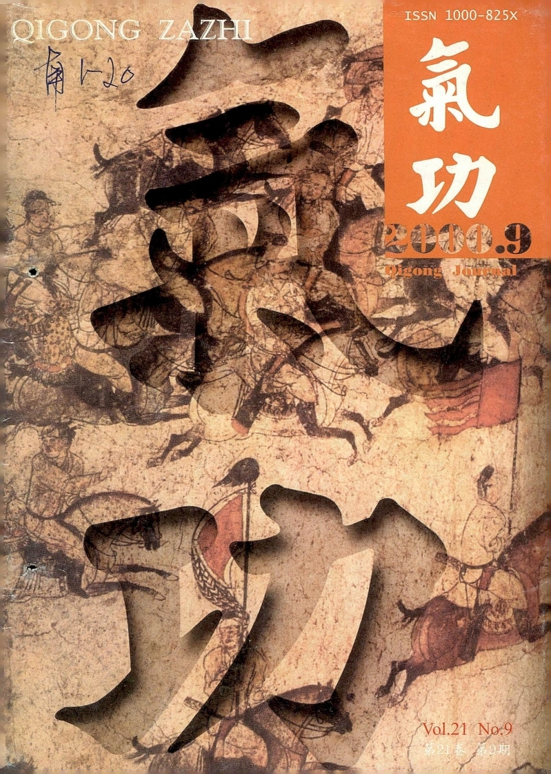 气功2000第九期-四书格