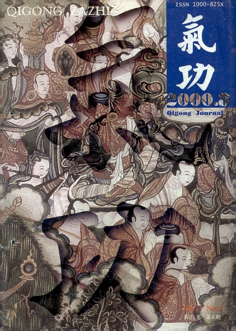 气功2000第八期-四书格