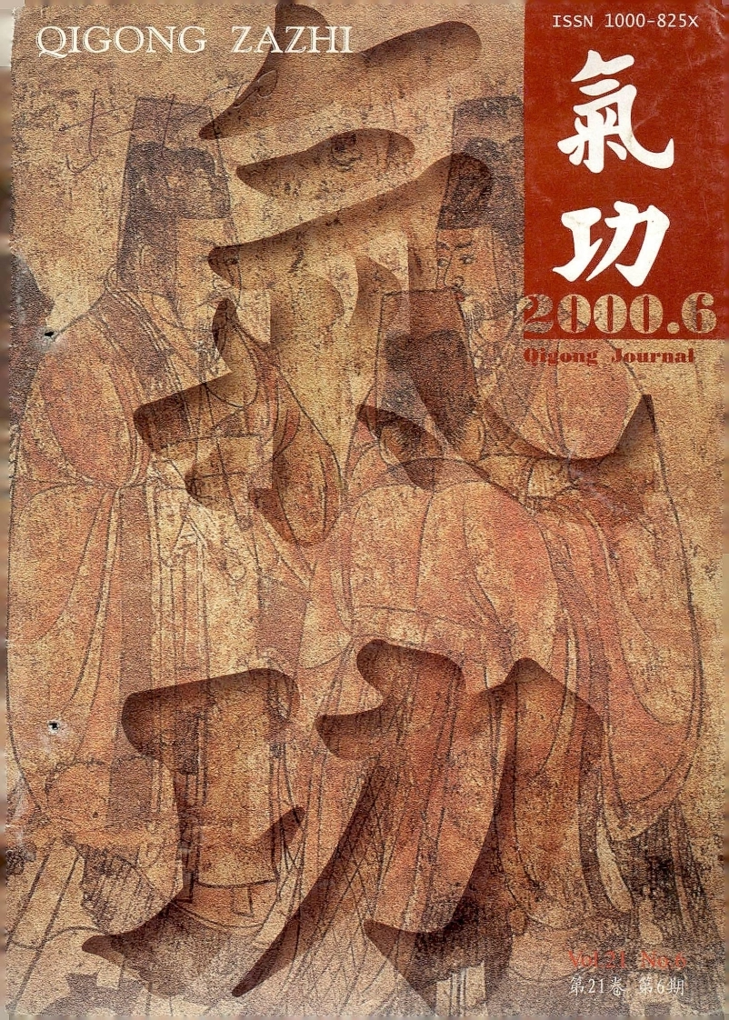 气功2000第六期-四书格