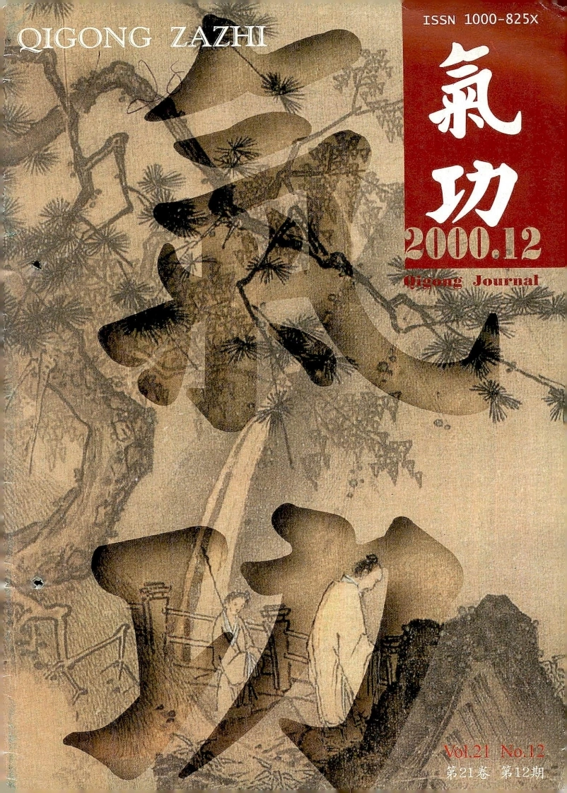 气功2000第十二期-四书格