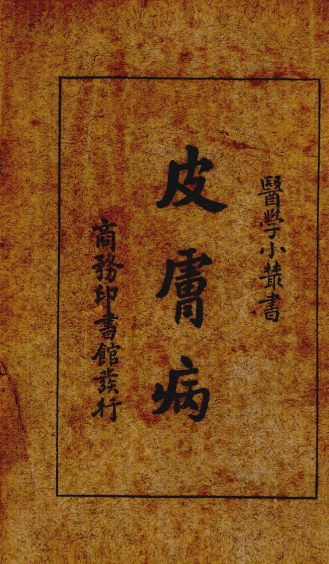 皮肤病民国书籍-四书格