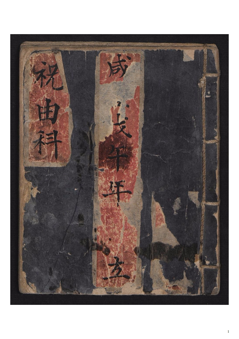 祝由科治病符决