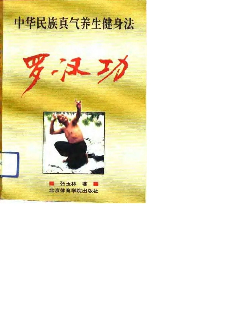 罗汉功.张玉林.扫描版-四书格