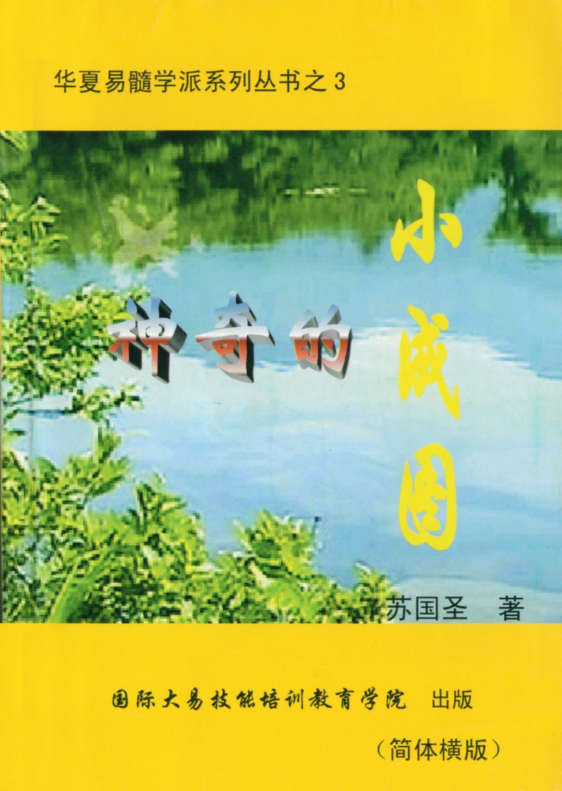 苏国圣-神奇的小成图