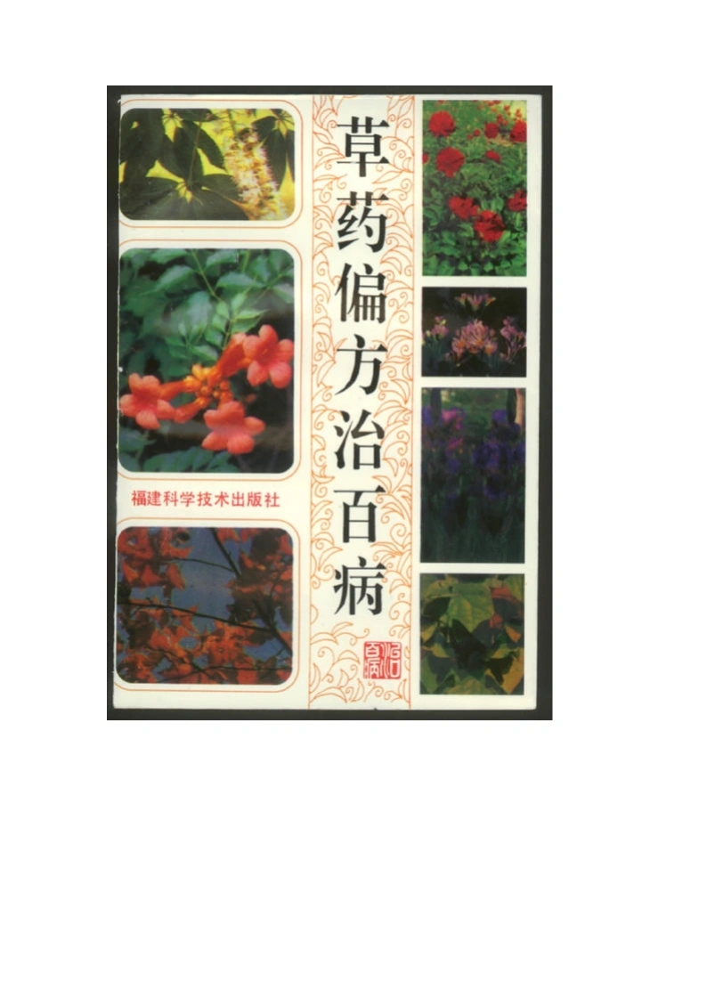 草药偏方治百病-四书格