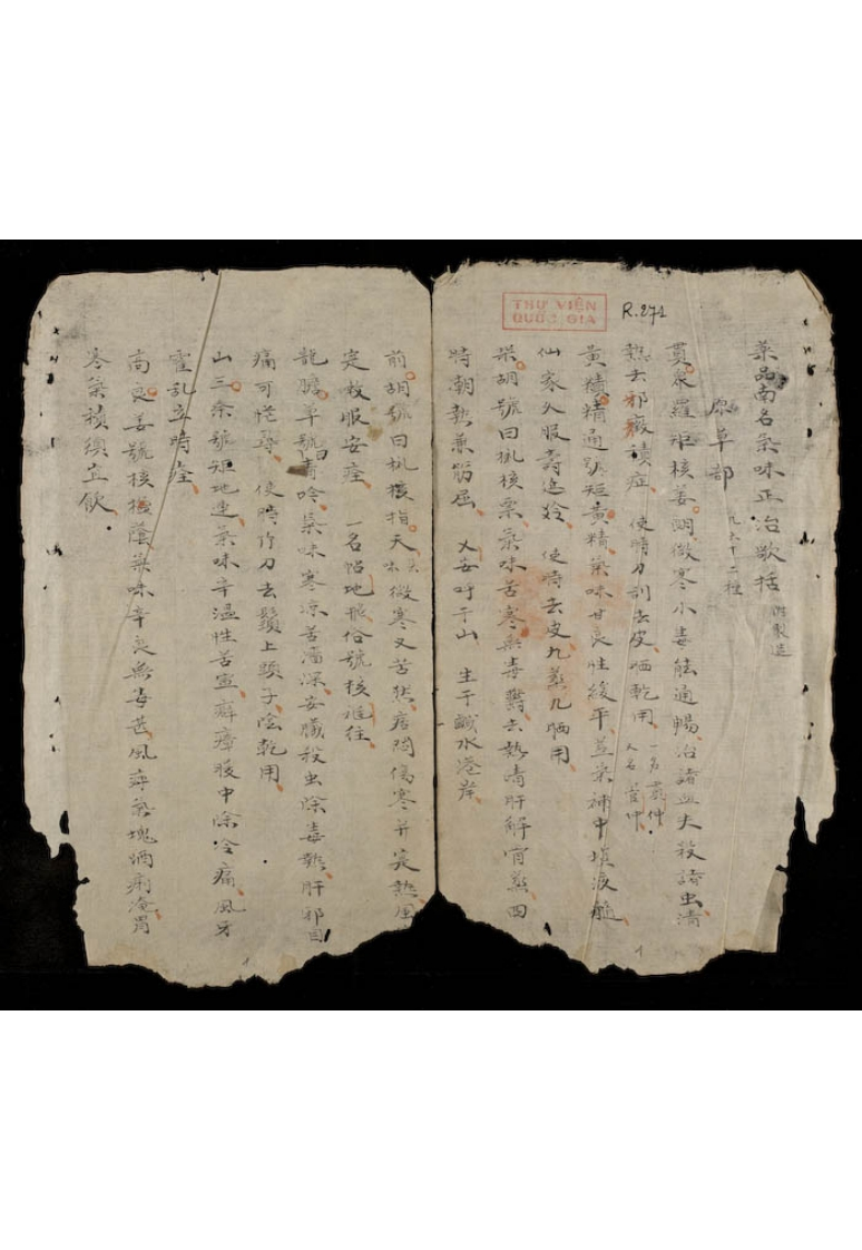 药品南名气味正治歌括