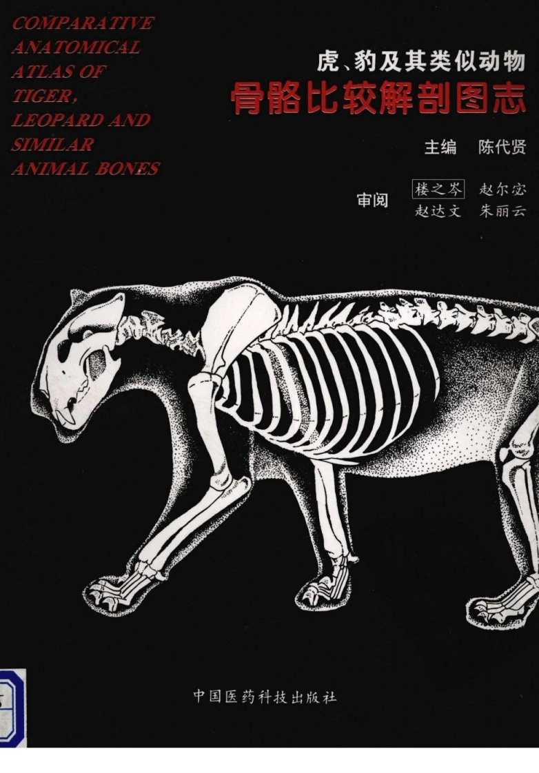 虎.豹及其类似动物骨骼比较解剖图志（陈代贤主编）-四书格