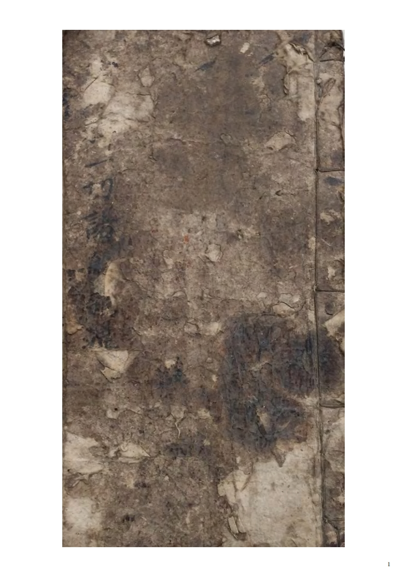 道医专门治症秘方