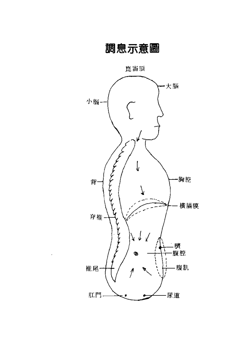 道玄子-中国道家养气全书