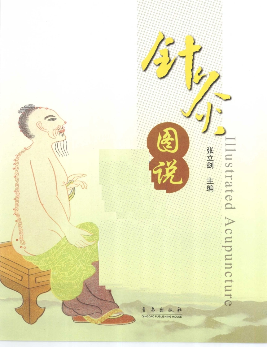 针灸图说（高清彩图版）-四书格