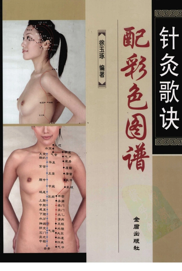 针灸歌诀配彩色图谱（高清彩图版）-四书格