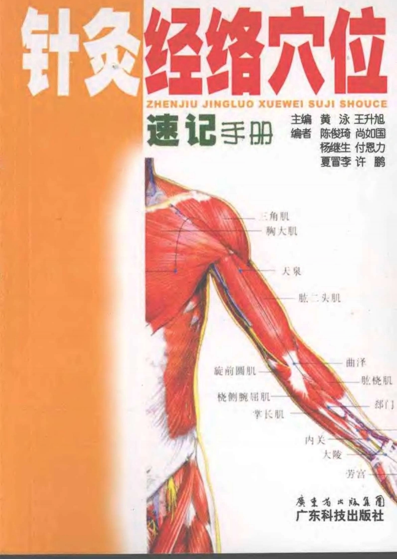 针灸经络穴位速记手册-四书格