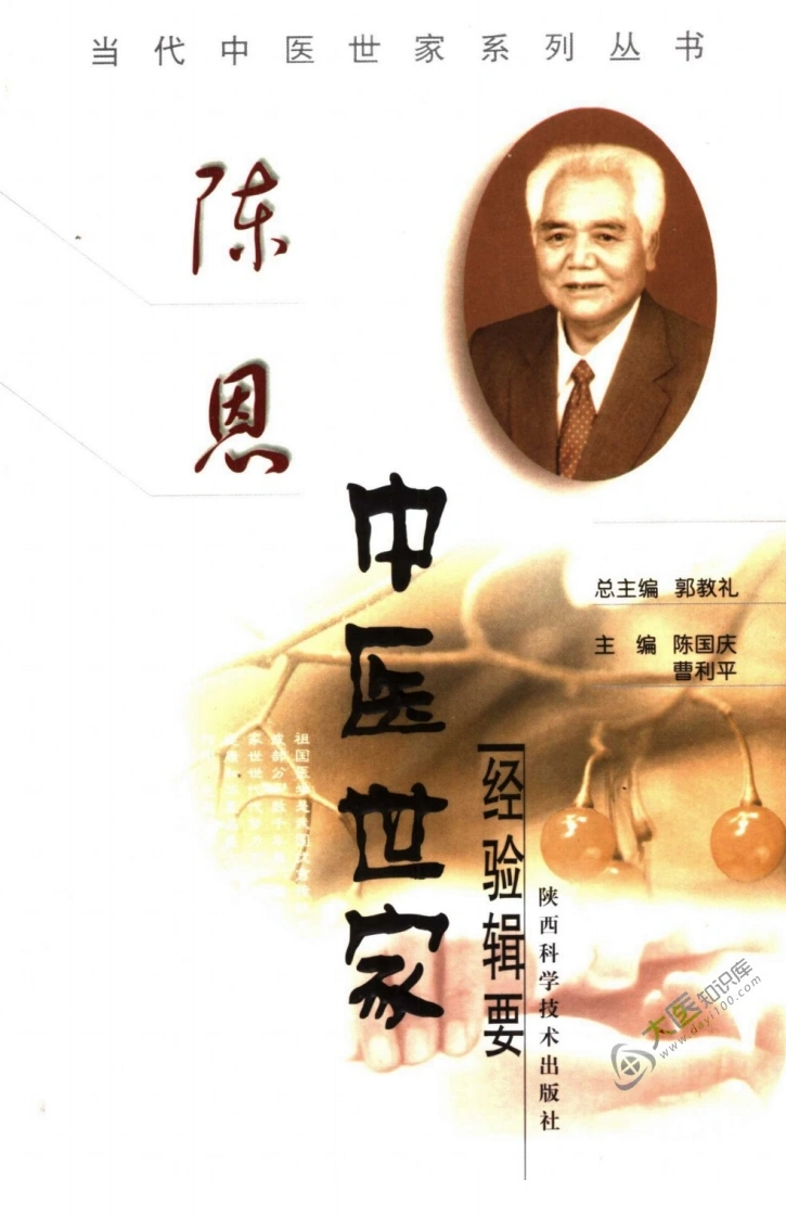 陈恩中医世家经验辑要-四书格