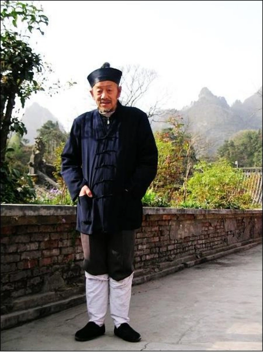 黄帝内经十二经脉揭秘·应用-四书格
